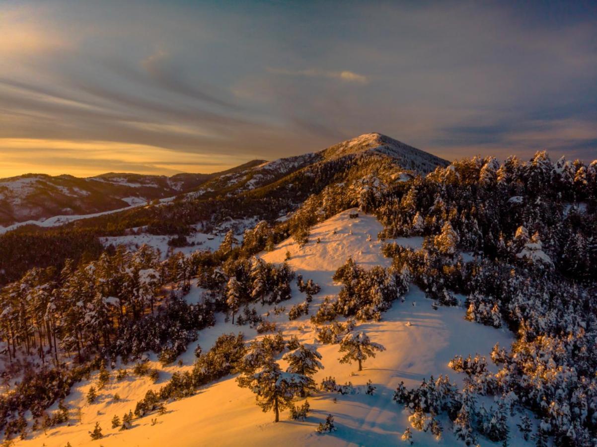 Apartman Tajena Zlatibor Bagian luar foto